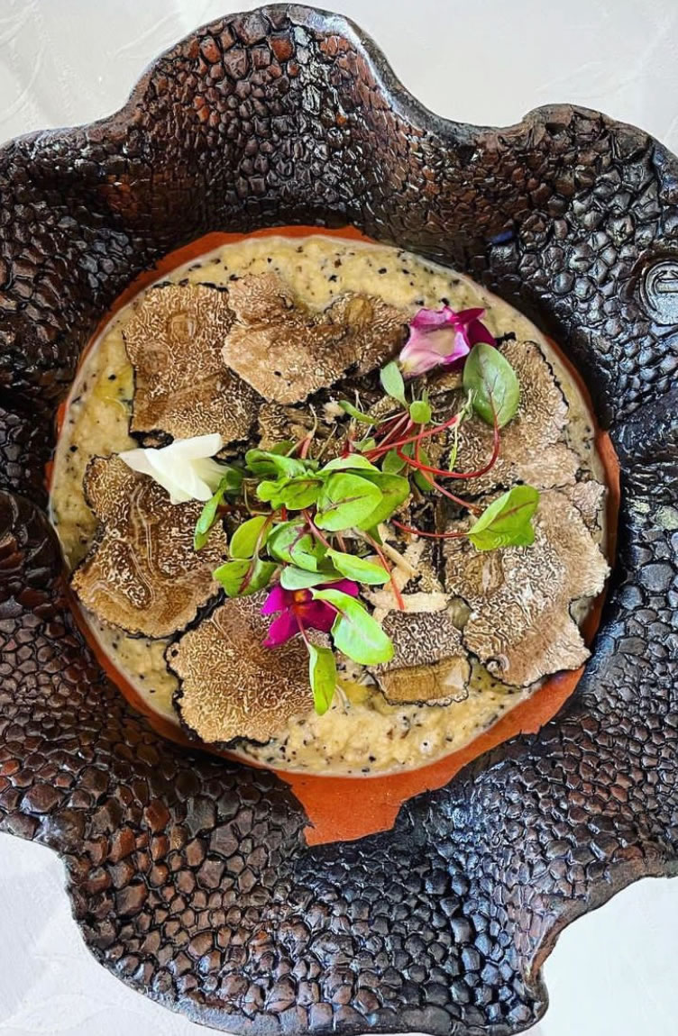 Le Jas de Majastre - l'excellence dans la gastronomie autour de la truffe.